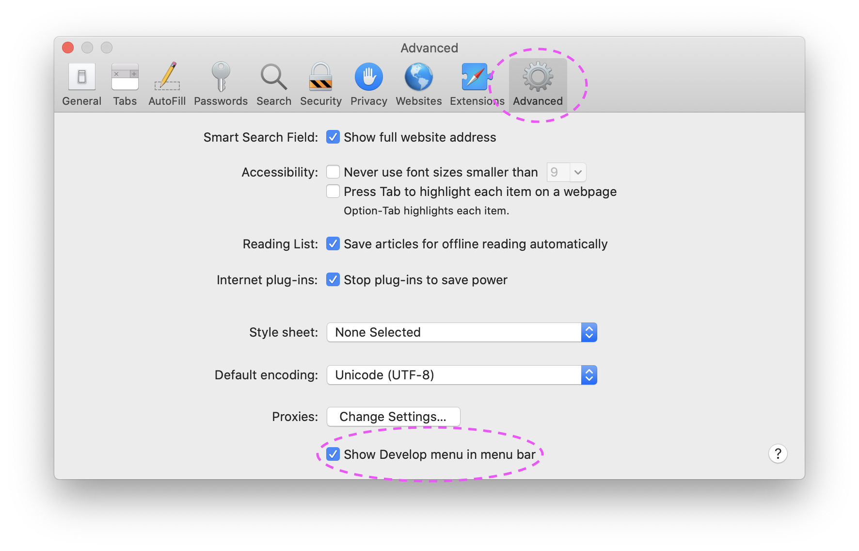 Enable Develop menu in Safari on macOS